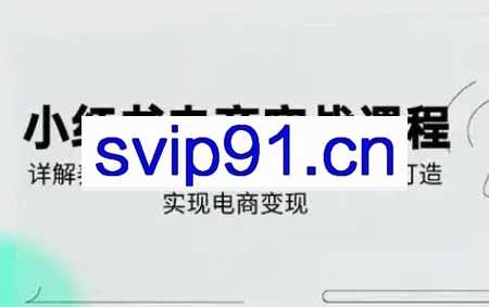 戴小胖·小红书从0-1实操课（2023-2025）