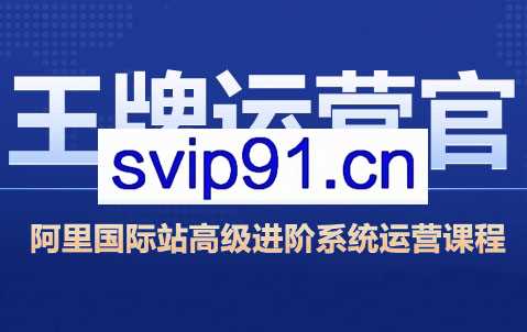 大钟老师·阿里巴巴国际站高级运营实战打造爆款店铺