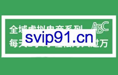全域虚拟电商变现系列