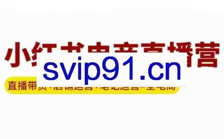申铭老师·小红书电商直播营