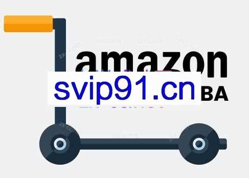 子健老师·亚马逊0-1全流程实操，FBA/FBM玩法全解