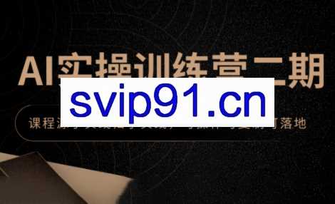 郑十兄·AI实操训练营二期