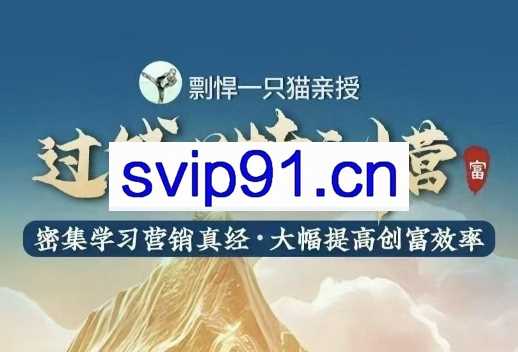 剽悍一只猫·过钱关特训营