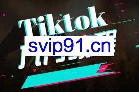 纵横跨境·2024TikTok变现实操课程（更新）