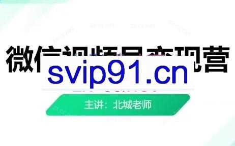 北城老师·微信视频号变现营