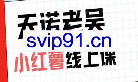 天诺老吴·小红薯【私家课】0-1小白运营认知提升