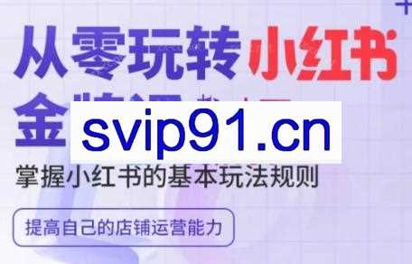 王导主·小红书电商运营实操课