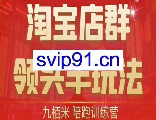 九栢米·淘宝店群领头羊玩法陪跑训练营（更新十四期）