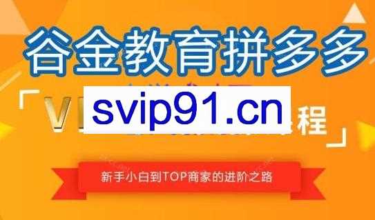 谷金多多学堂·拼多多0-100实战训练营（更新23年9月）