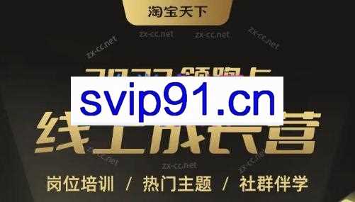 淘宝天下·2023领跑卡线上成长营（领跑卡vip）