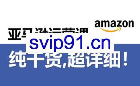 亚马逊如何优化SEO+新品推广纯白帽打法高阶课