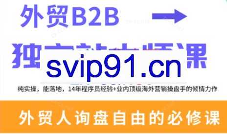 二叔·外贸B2B独立站大师课