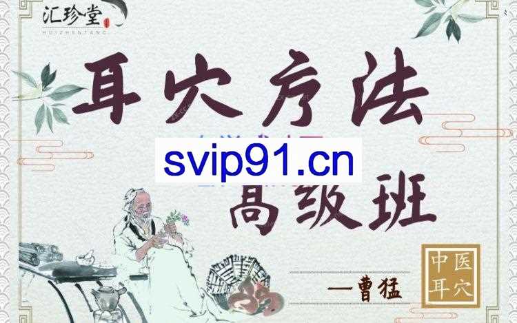 曹猛耳穴（耳针）疗法–高级进修课 125讲