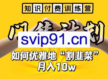 爱豆传媒·知识付费训练营，手把手教你优雅地「割韭菜」月入10w