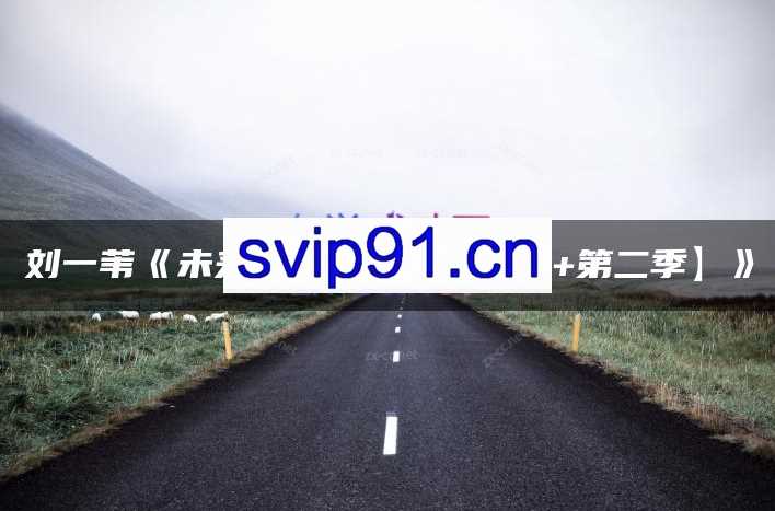 刘一苇，未来营销模式，第一季+第二季