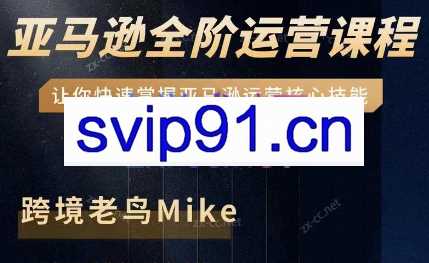 跨境老鸟·亚马逊跨境电商全阶运营系列课程