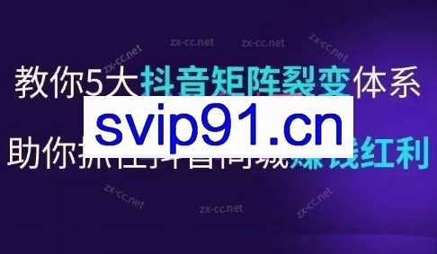 李才文·抖音营销操盘手