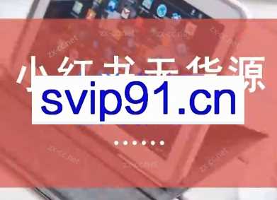 黄岛主·小红书无货源实物电商项目（第8期）
