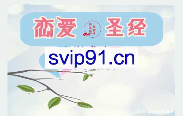 恋爱圣经