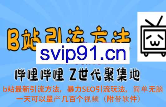 b站最新引流方法，暴力SEO引流玩法，简单无脑，一天可以量产几百个视频（附带软件）