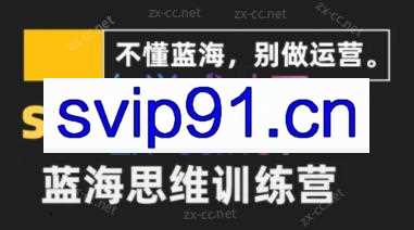 王老师·shopee蓝海思维高阶精品运营课（2023版）