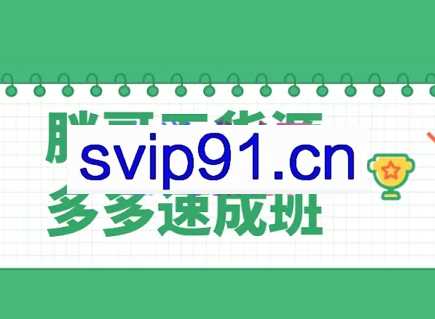 胖哥无货源拼多多速成班，价值2980元
