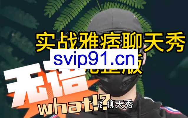 实战：雅痞聊天秀