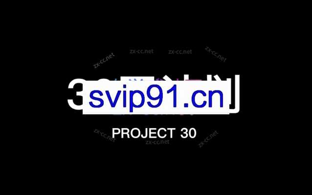 30天计划