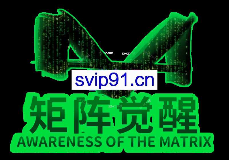 真爱之门《矩阵觉醒》