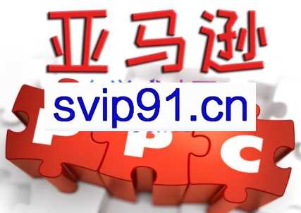 亿数通·亚马逊PPC快速上手高阶优化秘籍