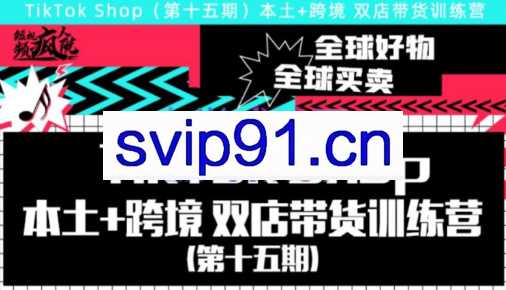 疯人院·TikTok Shop本土+跨境，双店带货训练营（第十五期）