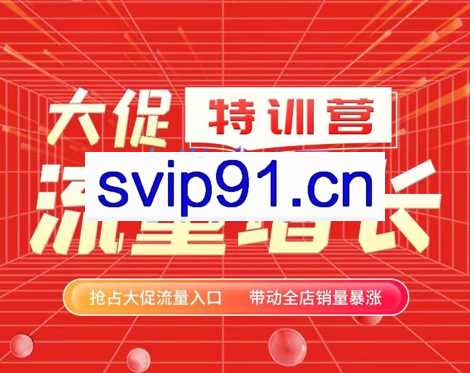 阿呆电商·大促流量增长特训营（第一期），价值2980元