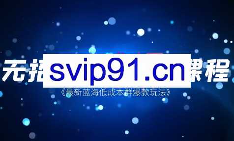 雷子·蓝海群爆款特训营，价值4980元