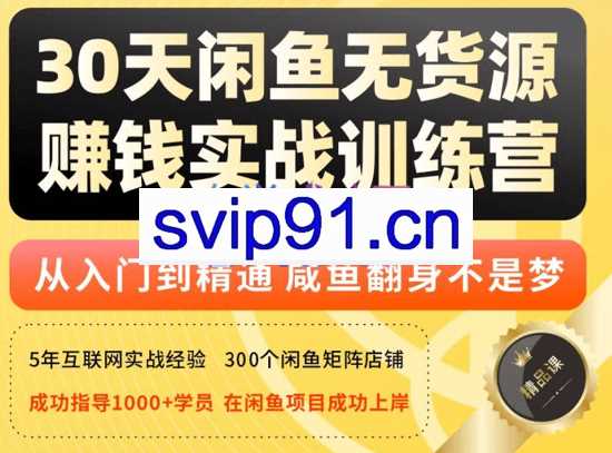 创业海盗·30天玩赚闲鱼实战训练营（第五十六期），价值3998元
