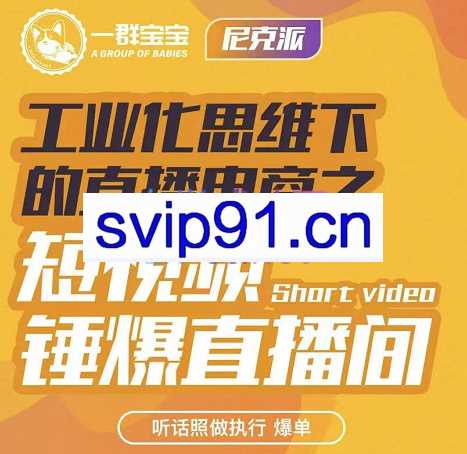 尼克派·工业化思维下的直播电商，价值6980元