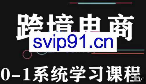 朱哥·玩赚跨境电商之0基础课程