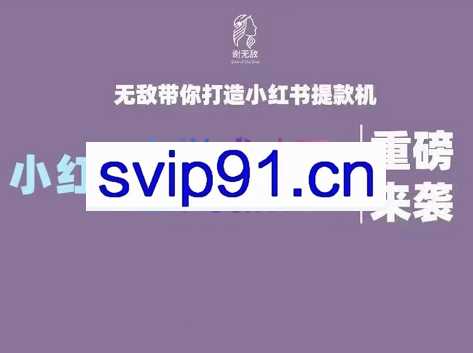 谢无敌·小红书实战营3.0，价值7999元