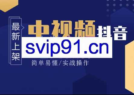 高鹏圈·蓝海中视频项目，价值980元