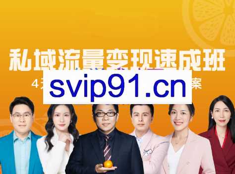 桔子会·私域流量变现速成班，价值12800元