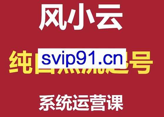 风小云·纯自然流起号系统运营课，价值4980元