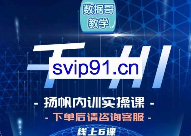 数据哥·千川内训实操课，价值8800元【无水印】