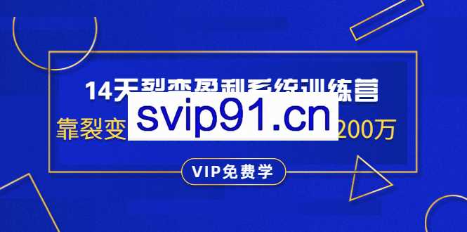 王六六：14天裂变盈利系统训练营