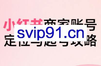 大晴老师·小红书电商全链路实战从定位到爆单（更新9月）