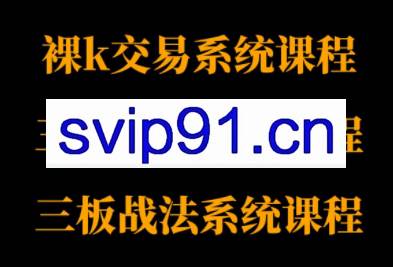 半山猎人三套系统课程（裸K体系、三点体系、三板体系）