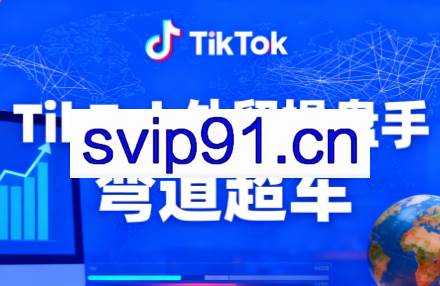 TikTok外贸操盘手（更新11月）