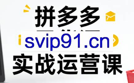 子枫老师·拼多多无货源实战运营课（更新12月）