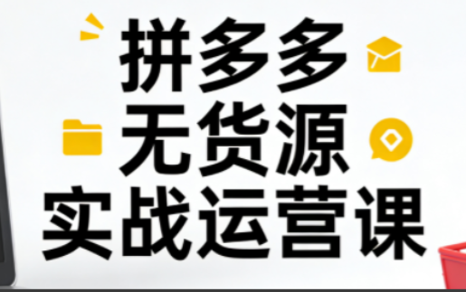 子枫老师·拼多多无货源实战运营课