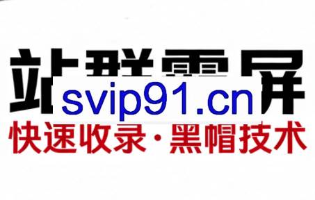 SEO野路子实战全集：快速收录、站群霸屏、黑帽技术