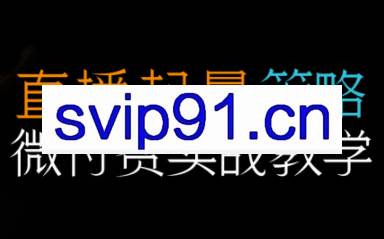 半野老师·直播带货起量与微付费必学课视频号（更新2026）