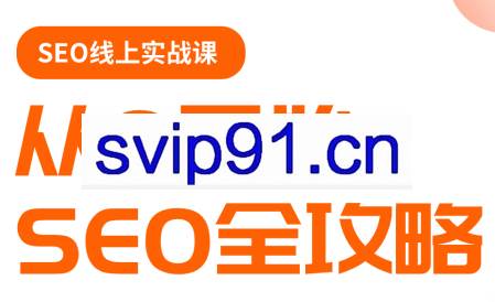 若凡老师·谷歌SEO实操课（更新）